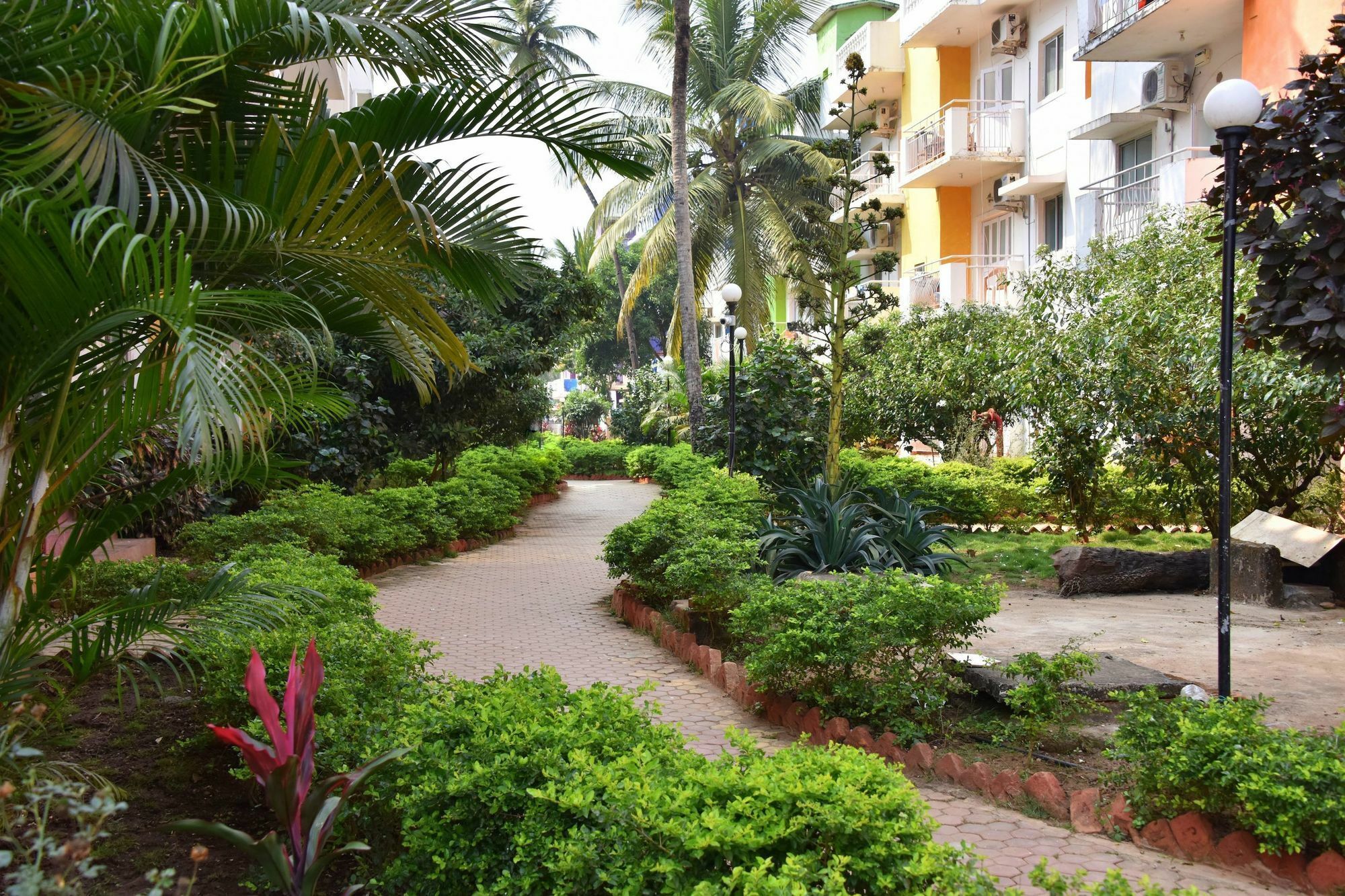Hotel Q Lite Calangute Exterior foto